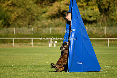 Balin von Moria`s Tor